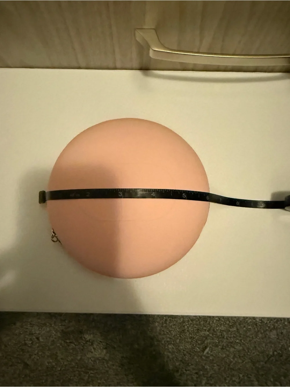 Dior Soft Pink Round CD Crossbody Phone Case